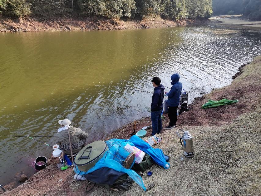 最新水庫釣魚視頻，探索釣魚樂趣與技巧全攻略