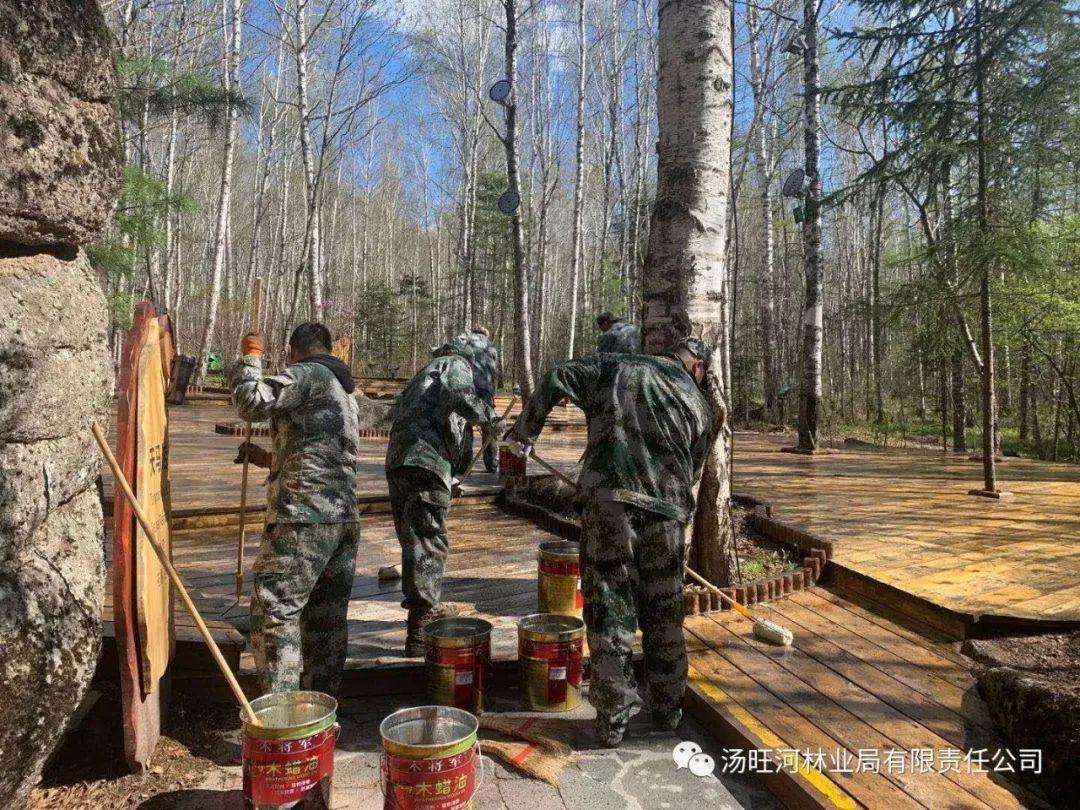 探尋神秘寶石世界的獨特魅力，最新奇石新聞報道