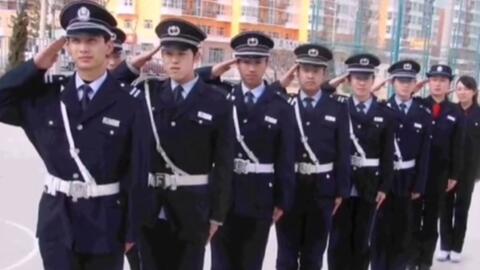 寧國最新保安招聘及其探討，行業(yè)現(xiàn)狀與發(fā)展趨勢分析