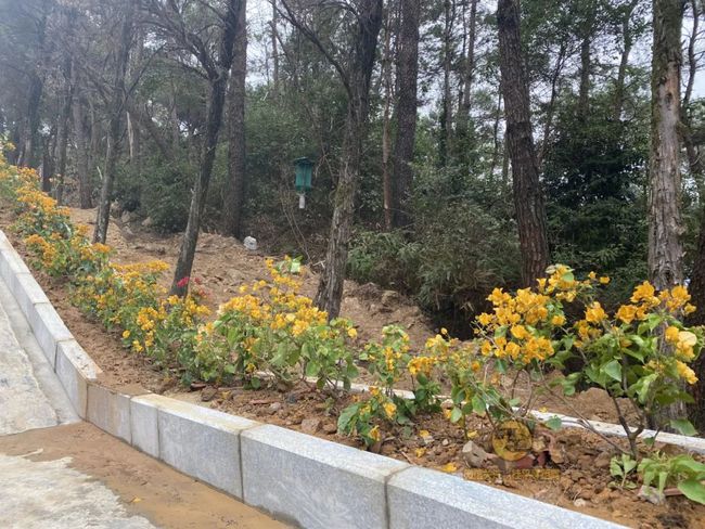 桂平手工，傳統(tǒng)與創(chuàng)新的完美交融