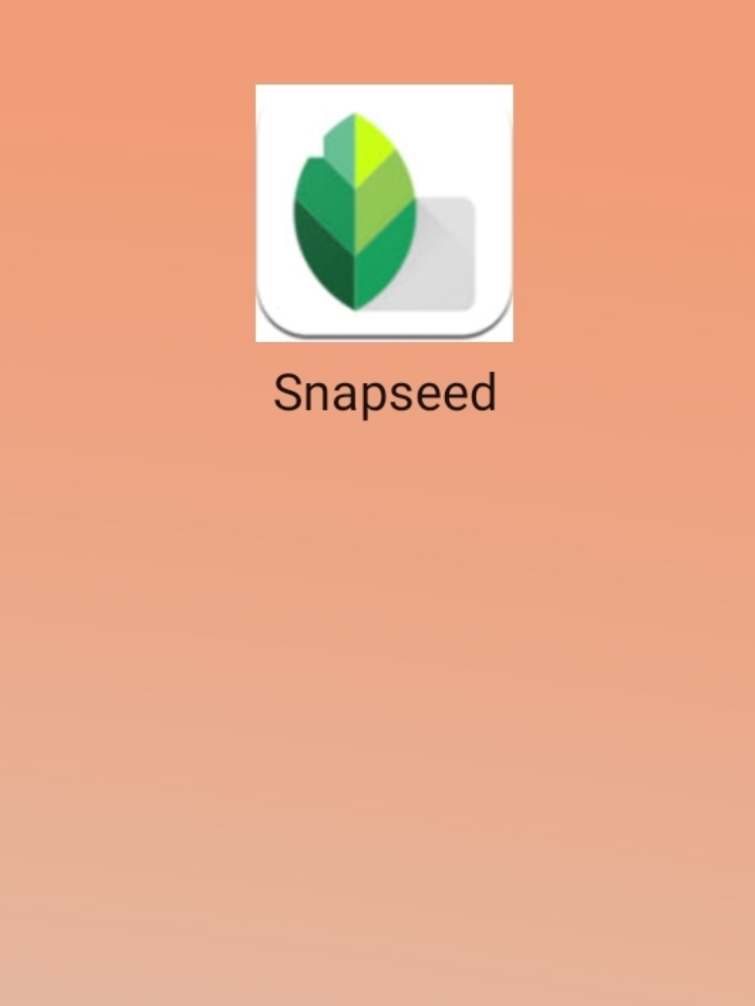最新snapseed中文版，科技重塑影像，讓生活因攝影更精彩