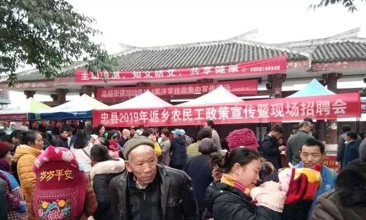 烏楊最新招聘，時代的脈搏與行業(yè)翹楚的集結地