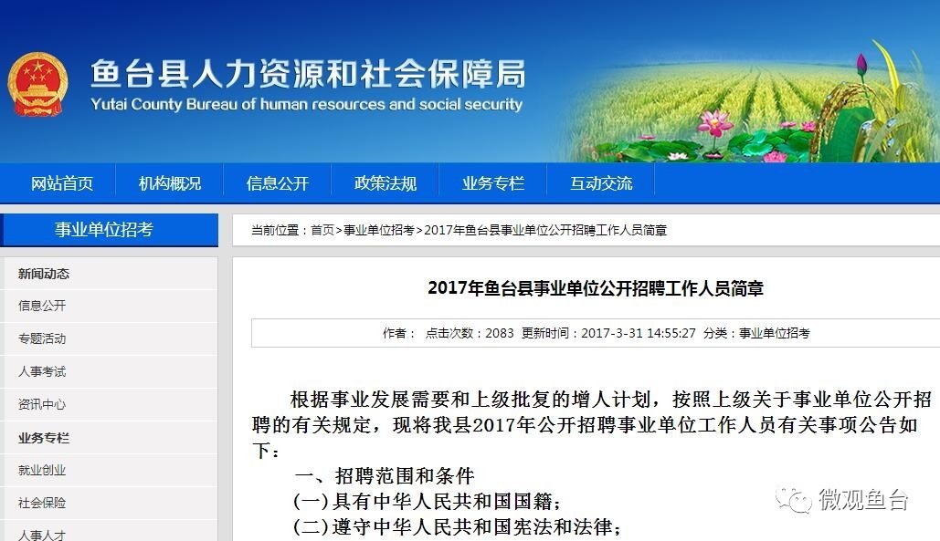 魚臺最新招聘信息大全，求職步驟指南與招聘信息更新速遞