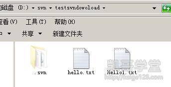 Jav最新網址探索，小巷深處的獨特風味之旅