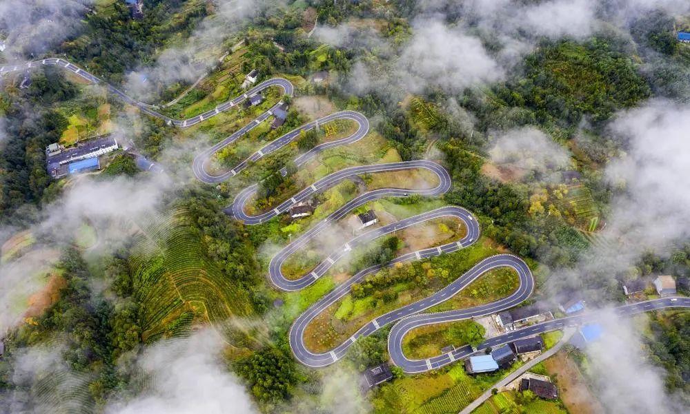 奉節(jié)云霧鄉(xiāng)的最新動態(tài)與溫馨日常，云霧中的快樂時光