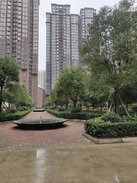 南陽盛世御苑最新動態(tài)揭秘，全面指南與步驟詳解