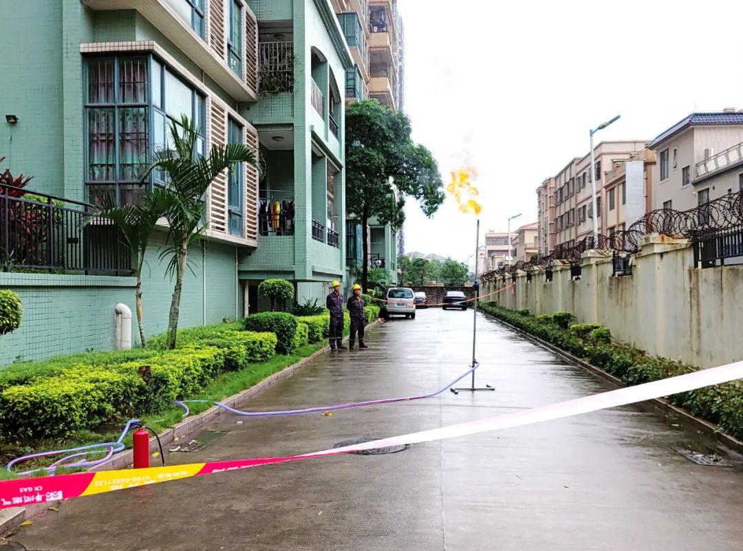 中山東鳳佛奧最新動態(tài)，自然美景的探索之旅，尋找內(nèi)心平和與寧靜