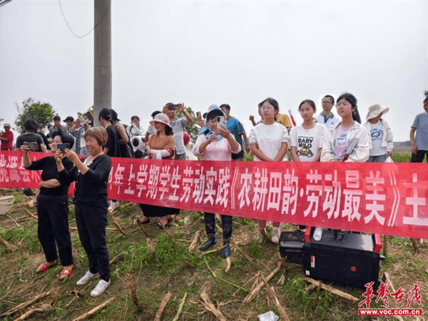 桃源木塘垸鄉(xiāng)新動(dòng)態(tài)，趣事連連，真摯友情綻放鄉(xiāng)間