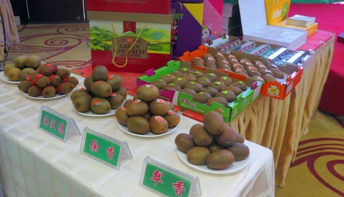 嘉興對(duì)接上海最新進(jìn)展，城市崛起中的自信與成就感展現(xiàn)新面貌