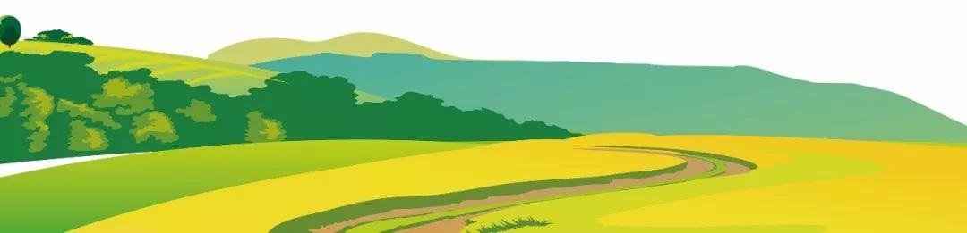 藍田縣未來藍圖，最新發(fā)展規(guī)劃揭秘