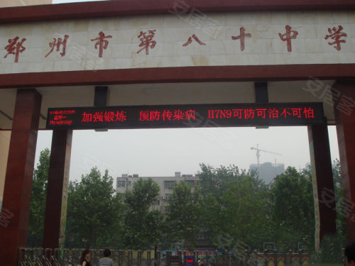 中原區(qū)九龍城最新動態(tài)深度解析，最新進展與觀點闡述