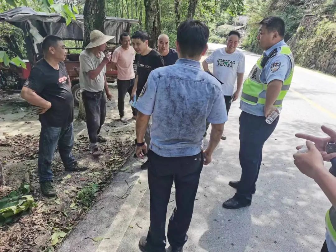 慶元最新事件，引領(lǐng)科技潮流的高科技產(chǎn)品揭秘