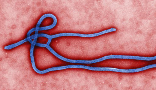 警惕最新病毒病人，你需要了解這些關鍵信息！