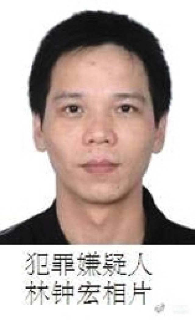 張宸案最新進(jìn)展，城市生活的溫馨日常關(guān)注