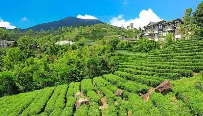 深圳驚喜活動溫情之旅，日常中的特別瞬間