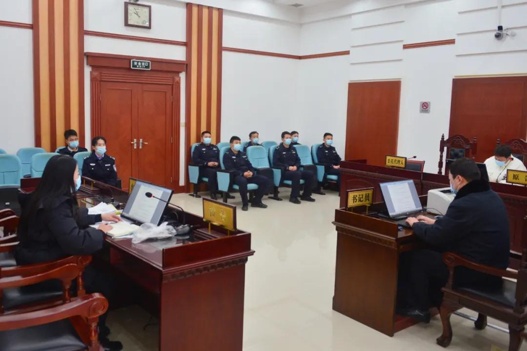 憲法案件最新動(dòng)態(tài)，小巷深處的情懷與特色小店的奇遇