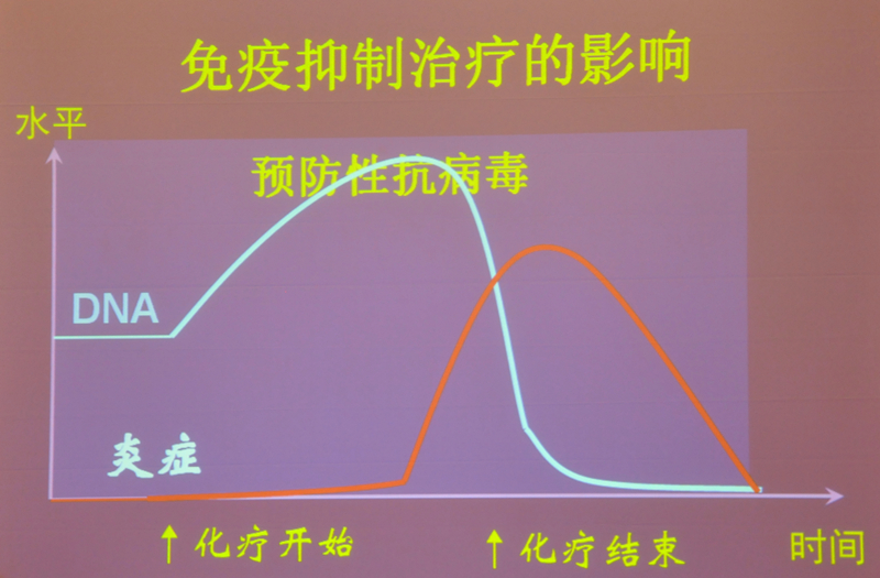 肝炎新進(jìn)展揭秘，小巷深處的秘密小店探索