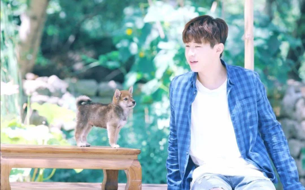 夏雪黃磊攜手演繹別樣精彩人生，新作品震撼來襲！???