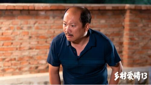 當代鄉(xiāng)土風情歡樂呈現(xiàn)，最新鄉(xiāng)村喜劇劇集