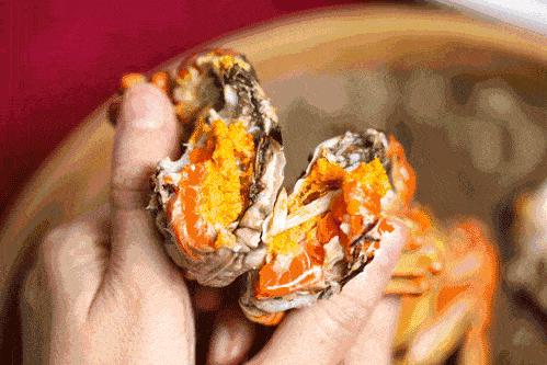 ??陽澄湖螃蟹上市季節(jié)情報，吃貨必知的秋季美味盛宴！??