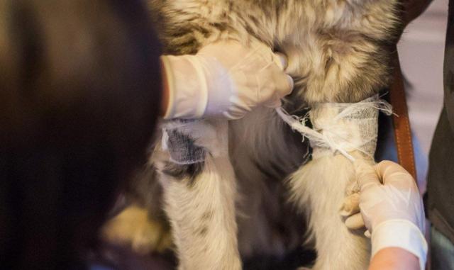 蘇州近期街邊情況，自然美景的心靈之旅體驗紀(jì)實