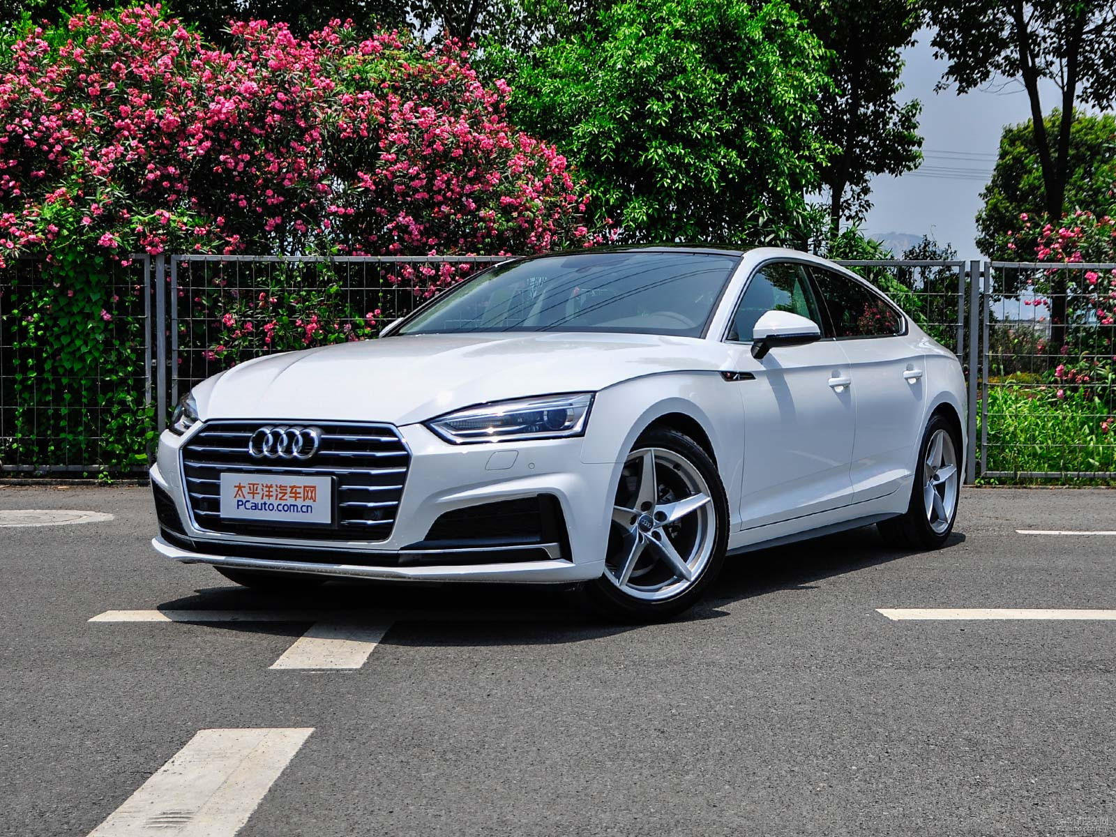 新款?yuàn)W迪A5價(jià)格及圖片，自然美景探索之旅的絕佳選擇