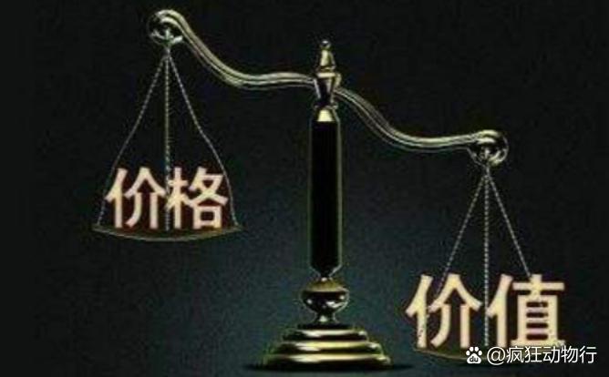 價格與價值解析，差異何在？