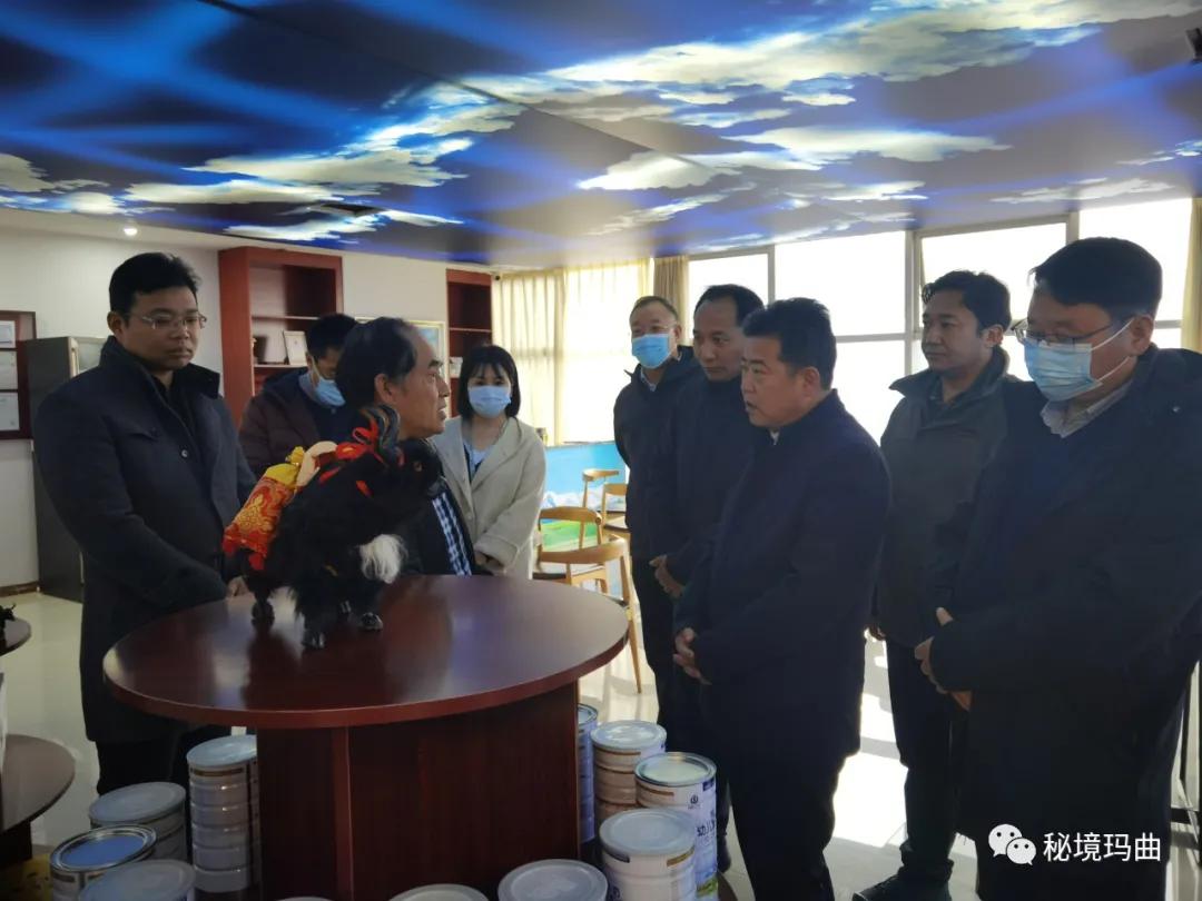 高原之寶上市，學(xué)習(xí)、蛻變與自信的輝煌之旅