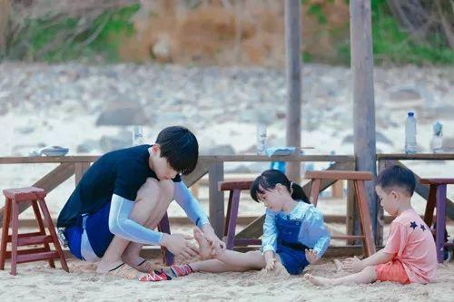 最新TV版資訊深度剖析，電視劇熱潮的影響力與影響