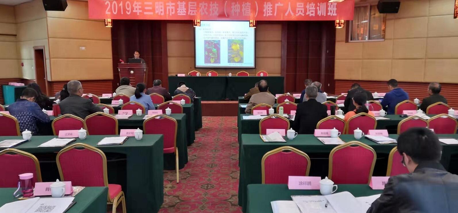 豇豆最新，廚房中的友情與家的溫馨