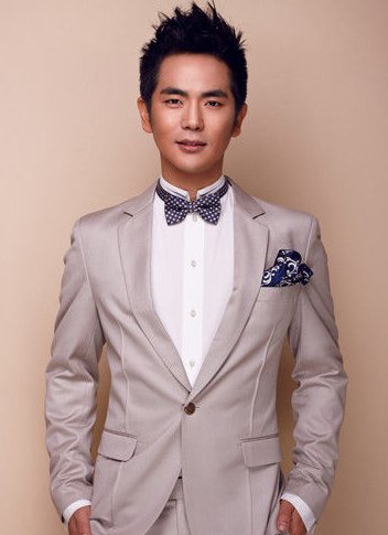 全面了解與欣賞張曉龍演過的電視劇，步驟指南及作品概覽