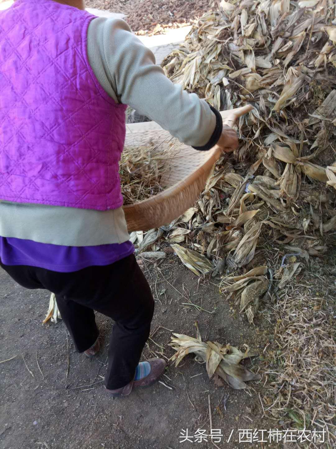 彬縣撤縣設(shè)區(qū)最新進(jìn)展，最新動(dòng)態(tài)更新