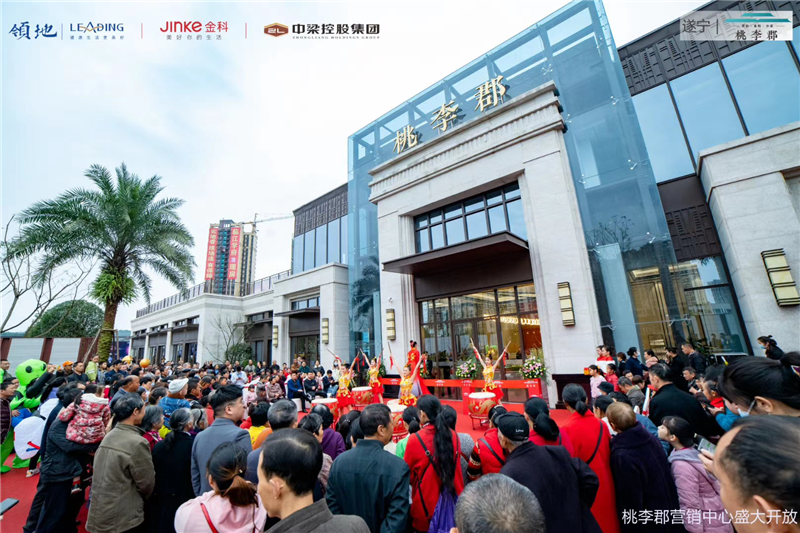 遂寧北濱郡府最新動態(tài)，小巷深處的獨特風味