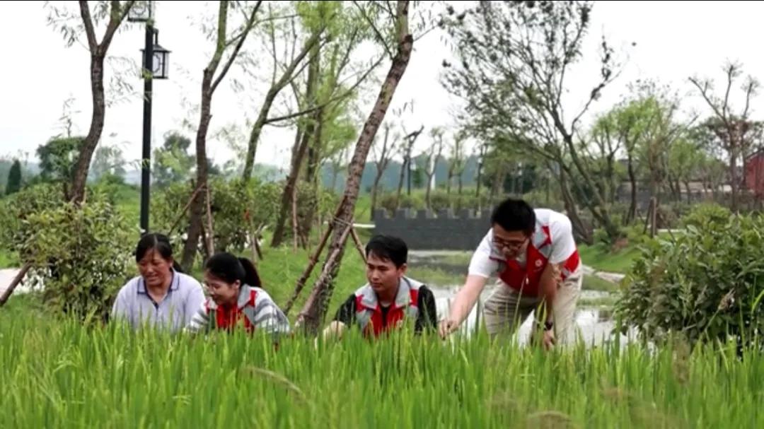 曲陽縣城最新招聘信息揭秘，小巷中的獨特小店等你來探索！