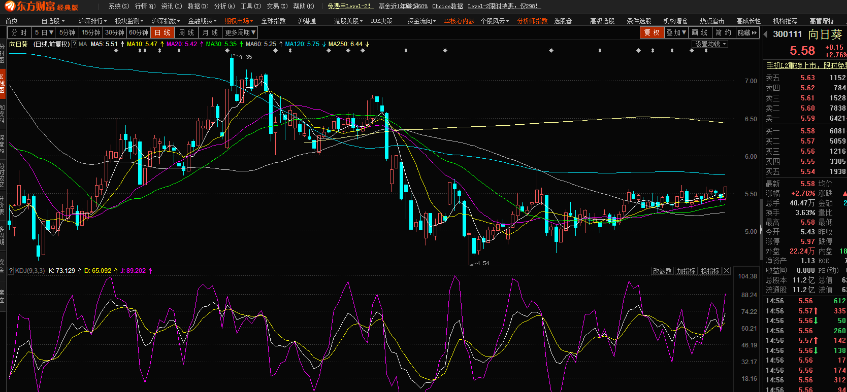 股市小天地，友情大天地——我與股票300141的日常故事分享