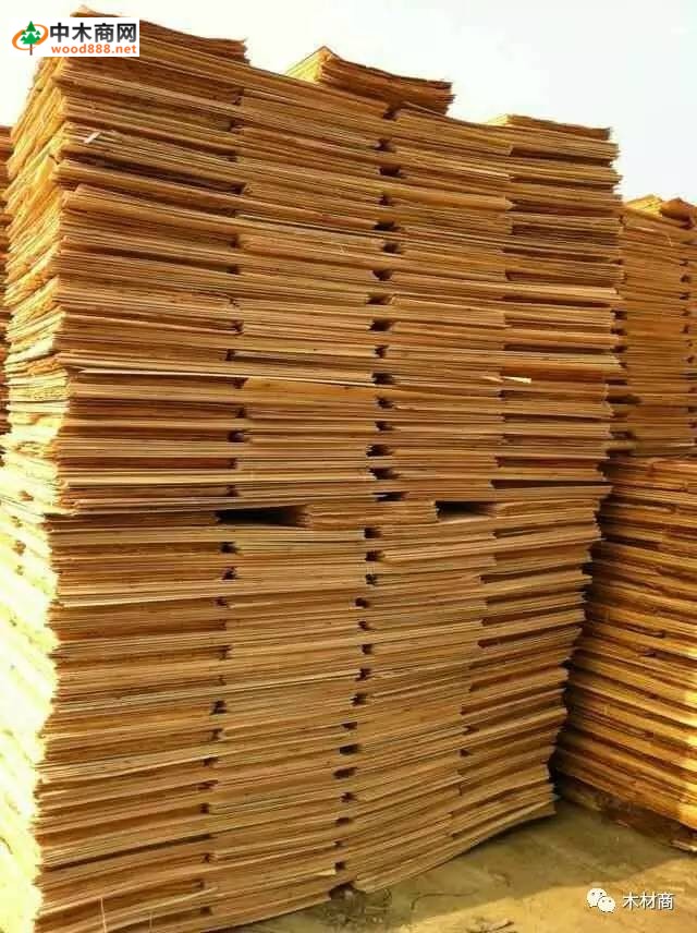 科技革新引領(lǐng)板皮廠行情，開啟板材加工新時(shí)代