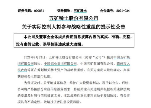 南方稀土股票，小巷中的隱秘寶藏，探索投資魅力的未知之旅