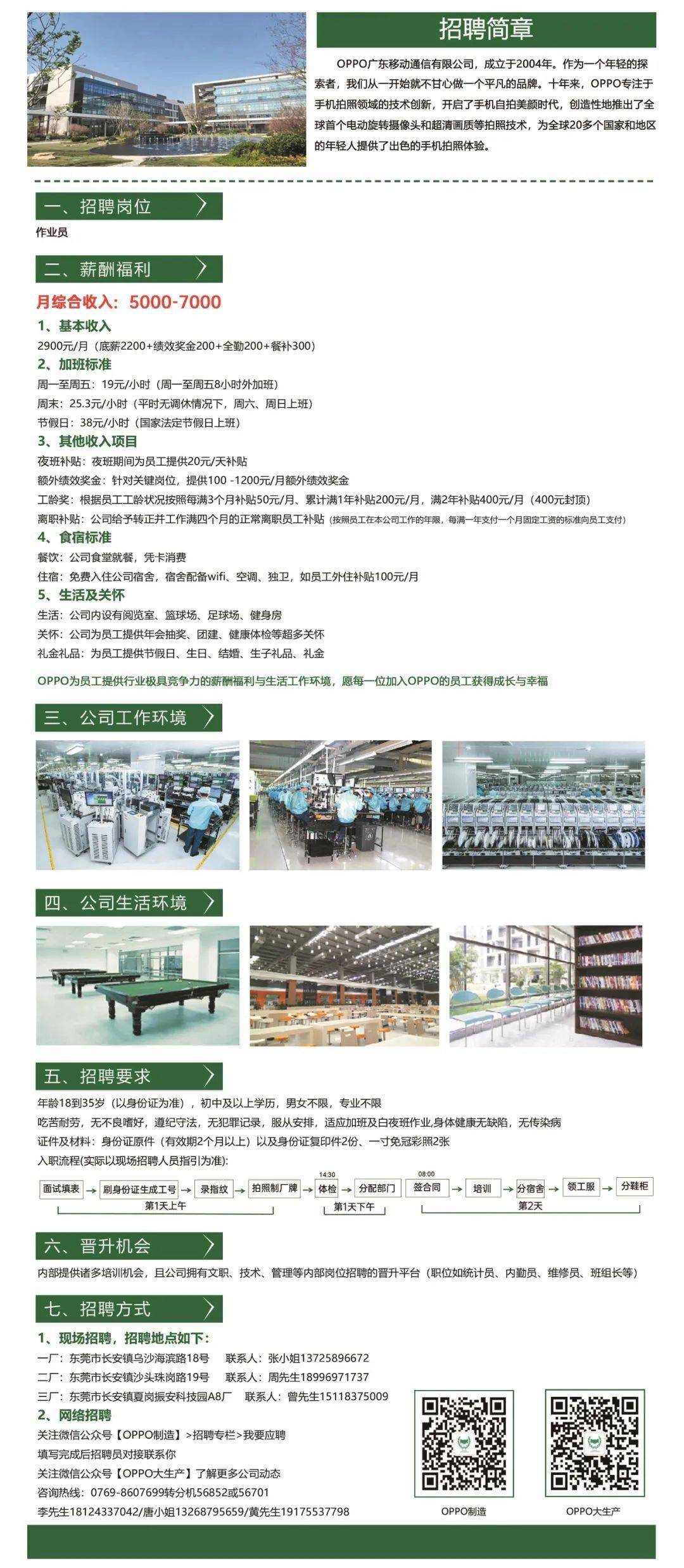 桐廬普工招聘信息揭秘，時代背景下的職場洞察