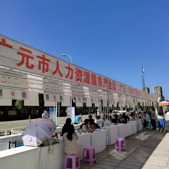 廣元最新招聘資訊詳解，觀點(diǎn)闡述與解析