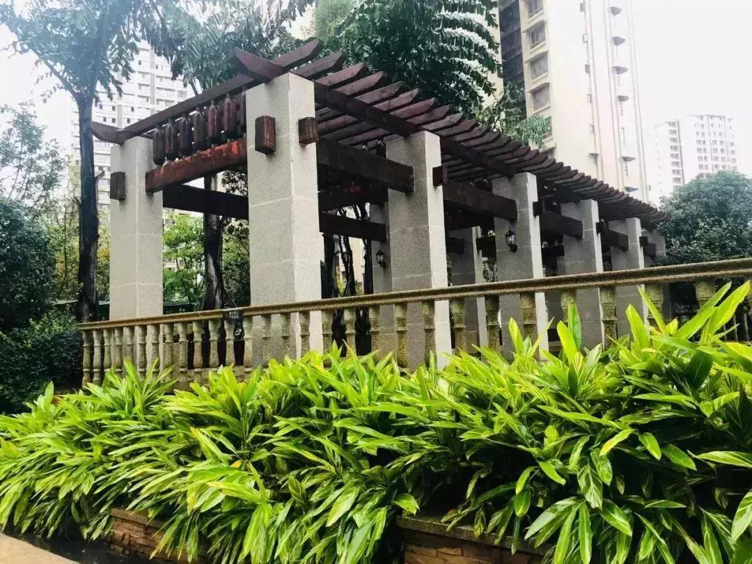 陽光江山金岸最新動態(tài)揭秘，全面指南與步驟詳解