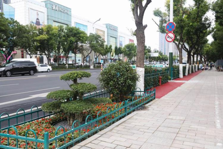 濰坊市奎文區(qū)改造工程，自然美景的探索之旅