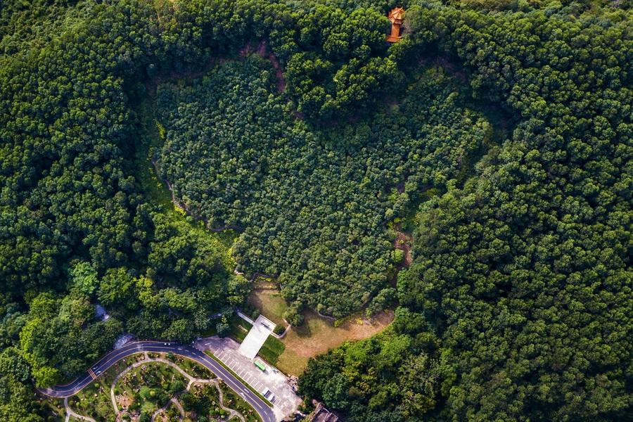 香港演員林，溫馨日常的點(diǎn)滴記錄