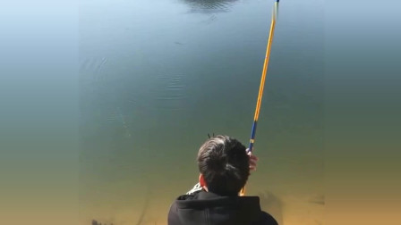 楊柏文最新垂釣視頻，從初學(xué)者到進(jìn)階用戶的技能提升指南