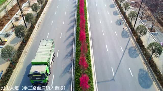關(guān)花大道最新進(jìn)展，矚目盛景呈現(xiàn)！
