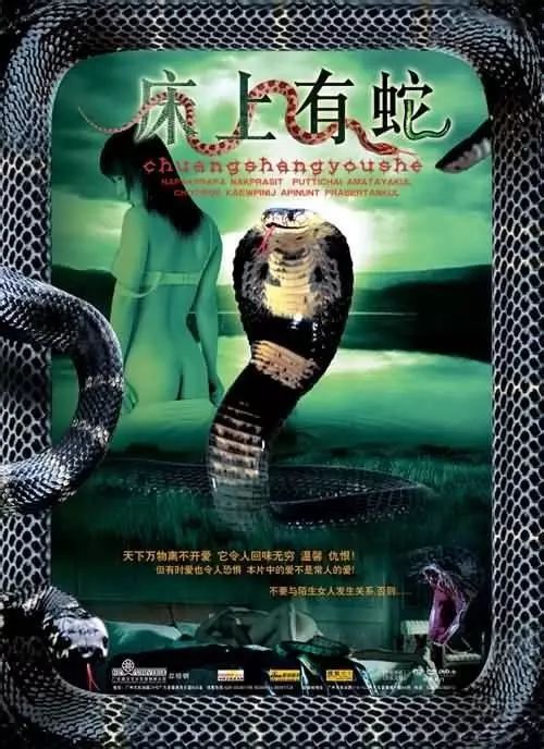 最新蛇片，蛻變的旅程，召喚自信與成就感的冒險之旅