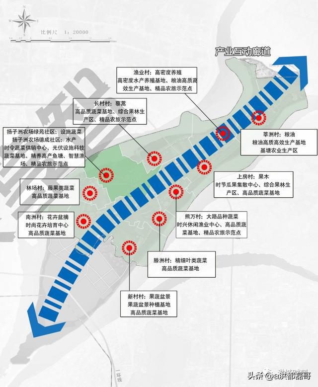 南昌揚(yáng)子洲未來藍(lán)圖揭曉，最新規(guī)劃描繪未來發(fā)展路徑