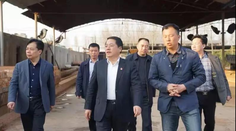 商丘王仲田最新動態(tài)，探索自然美景的旅行，尋求內(nèi)心平和之旅