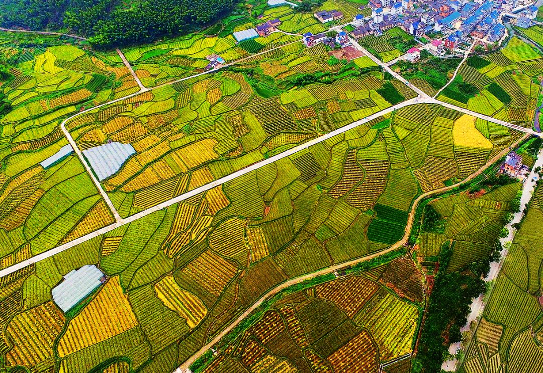 金竹最新規(guī)劃發(fā)布，開啟學(xué)習(xí)新篇章，培養(yǎng)自信與成就感的源泉