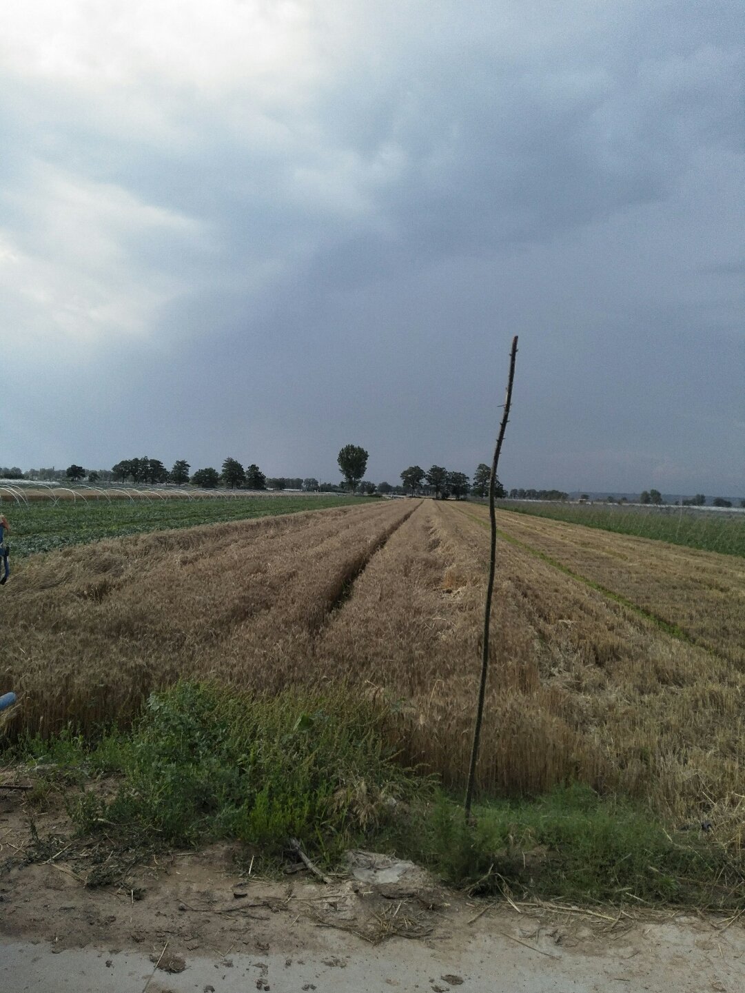 蒲城天氣預(yù)報，暖陽下的友情時光