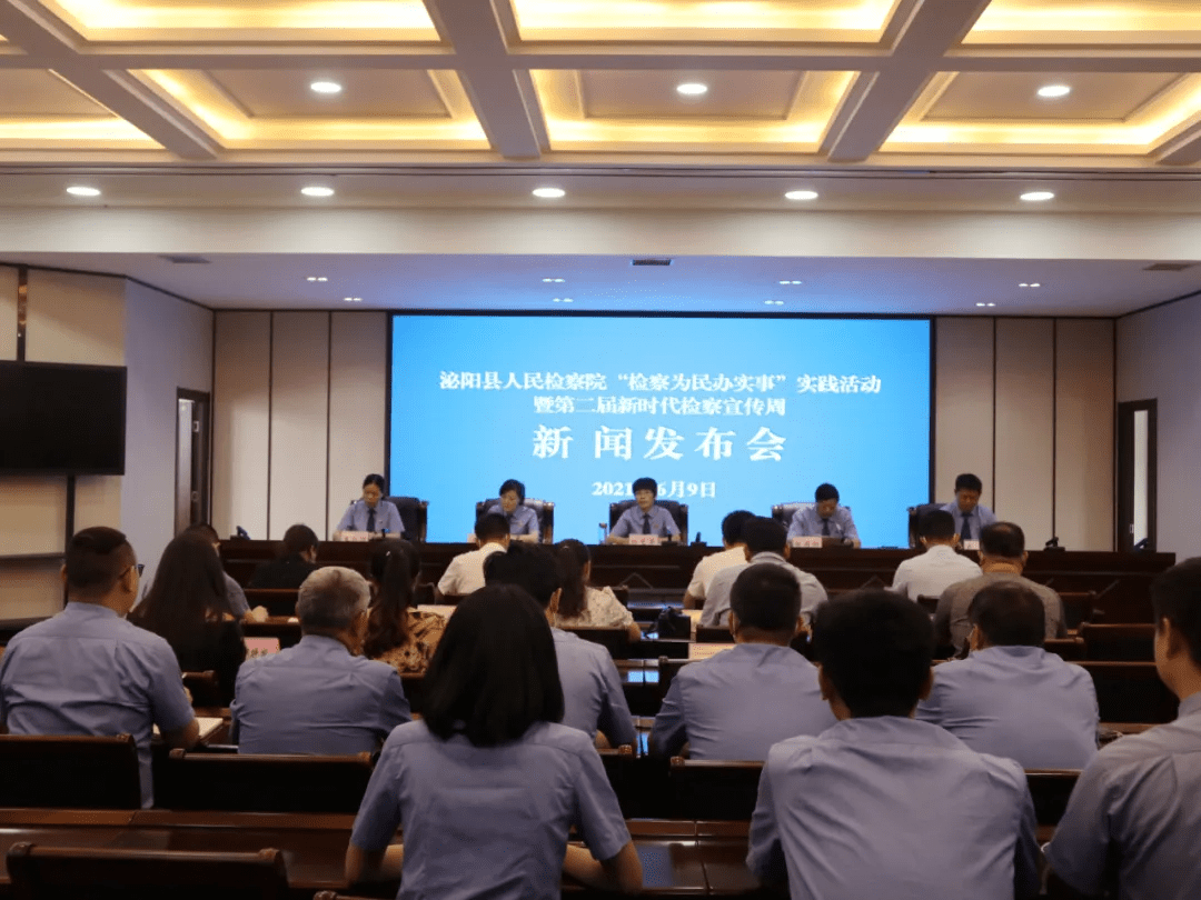 泌陽新聞最新動態(tài)，多元視角下的觀察與思考